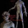Midnight Studios "Area 51 Intruder" Professional Alien Halloween Prop - 7 Foot Tall -Costume Types Shop area 51 intruder professional alien halloween prop 7 foot tall 8179847681