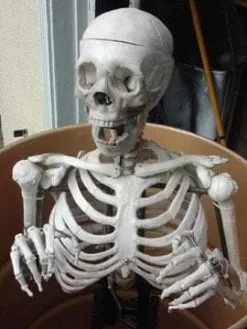 DC PROPS "Barrel Spitter Skeleton" Halloween Animatronic -Costume Types Shop barrel spitter skeleton halloween animatronic 8671142529