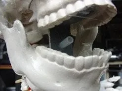 DC PROPS "Barrel Spitter Skeleton" Halloween Animatronic -Costume Types Shop barrel spitter skeleton halloween animatronic 8671147137