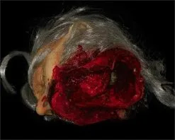 The Horror Dome "Big Mouth Severed Head" HD Studios Bloody Halloween Prop 10 The Horror Dome "Big Mouth Severed Head" HD Studios Bloody Halloween Prop -Costume Types Shop big mouth severed head hd studios bloody halloween prop 8671217409