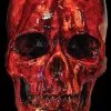 Morris "Bloody Resin Skull" Halloween Prop -Costume Types Shop bloody resin skull halloween prop 14320406691888
