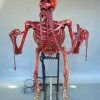 DC PROPS "Bloody Skele-ttack With Head Turn" Skeleton Halloween Animatronic (Includes Bad Breath Spitter) -Costume Types Shop bloody skele ttack with head turn skeleton halloween animatronic includes bad breath spitter 8179552129