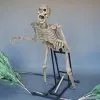 DC PROPS "Bushwacker" Skeleton Halloween Animatronic 1 DC PROPS "Bushwacker" Skeleton Halloween Animatronic -Costume Types Shop bushwacker skeleton halloween animatronic 23253029057