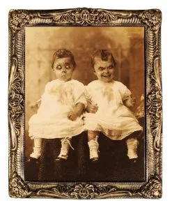 Morris "Changing Portrait - Twins" Hanging Halloween Decoration