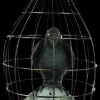 Morris "Crow In Cage" Animated Halloween Prop -Costume Types Shop crow in cage animated halloween prop 14325929017392