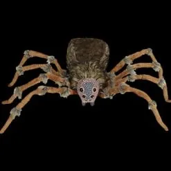 Morris "Deluxe Light-Up Wolf Spider" Halloween Prop