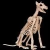 Morris Doberman Skeleton Dog Skeleton Halloween Prop -Costume Types Shop doberman skeleton dog skeleton halloween prop 30408654946352