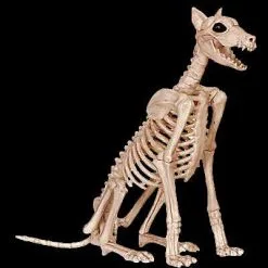Morris Doberman Skeleton Dog Skeleton Halloween Prop