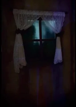 Front Page -Costume Types Shop drop window zombie halloween animatronic 31269563334704