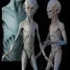 Midnight Studios "EBE Extraterrestrial Biological Entity" Professional Alien Prop -Costume Types Shop ebe extraterrestrial biological entity professional alien prop 8180009729