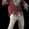 Morris "Grey Werewolf" Costume (Adult Size) -Costume Types Shop grey werewolf value halloween costume adult size 14202963066928