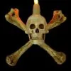 Skeletons And More "Humerus Bone Wall Sconce With 3 Inch Skull" Haunted House Lighting -Costume Types Shop humerus bone wall sconce with 3 inch skull haunted house lighting 14357476671536