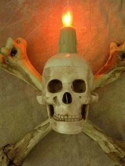 Skeletons And More "Humerus Bone Wall Sconce With 3 Inch Skull" Haunted House Lighting -Costume Types Shop humerus bone wall sconce with 3 inch skull haunted house lighting 23613182977