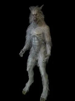 Midnight Studios "Hybrid Lycan Wolf" Halloween Monster Prop