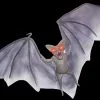 Morris "Light Up Demon Bat" Halloween Animal Prop -Costume Types Shop light up demon bat halloween animal prop 14325922594864