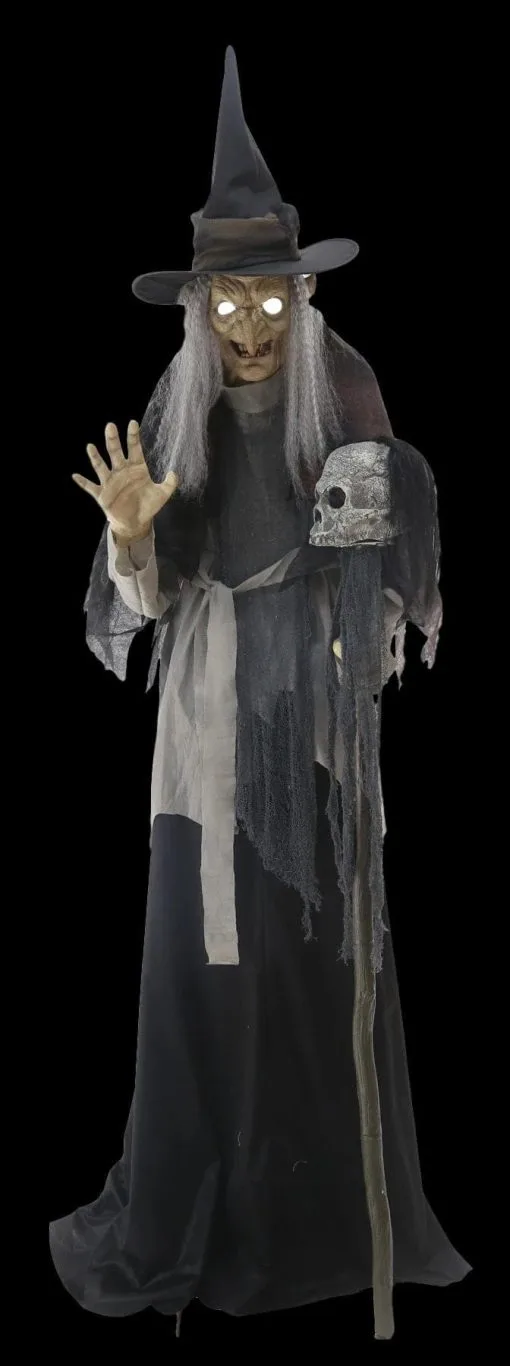Morris "Lunging Haggard Witch" Electric Animated Halloween Prop -Costume Types Shop lunging haggard witch electric animated halloween prop 14285500153904