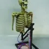 DC PROPS "Mini Popper" Skeleton Halloween Animatronic -Costume Types Shop mini popper skeleton halloween animatronic 23253220545