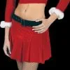 Morris "Ms. Santa - Sexy" Costume -Costume Types Shop ms santa sexy christmas costume 14187418124336