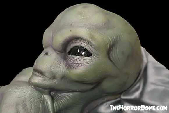 The Horror Dome "Roswell Alien Baby Crash Victim" HD Exclusive Halloween Decoration 4 The Horror Dome "Roswell Alien Baby Crash Victim" HD Exclusive Halloween Decoration - Image 2