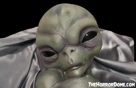 The Horror Dome "Roswell Alien Baby Crash Victim" HD Exclusive Halloween Decoration 5 The Horror Dome "Roswell Alien Baby Crash Victim" HD Exclusive Halloween Decoration - Image 3