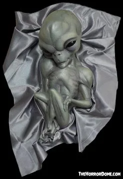 The Horror Dome "Roswell Alien Baby Crash Victim" HD Exclusive Halloween Decoration 10 The Horror Dome "Roswell Alien Baby Crash Victim" HD Exclusive Halloween Decoration -Costume Types Shop new for 2022 roswell alien baby crash victim hd exclusive halloween decoration 30106370048048