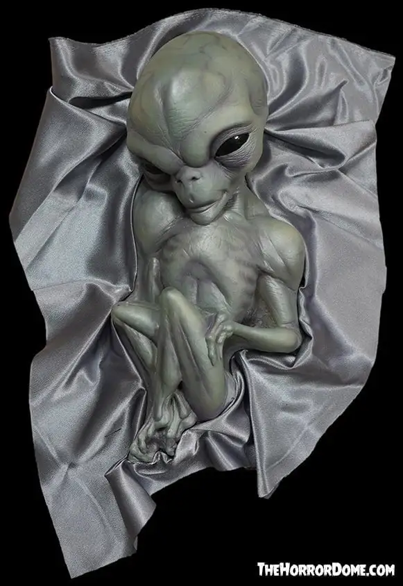 The Horror Dome "Roswell Alien Baby Crash Victim" HD Exclusive Halloween Decoration 6 The Horror Dome "Roswell Alien Baby Crash Victim" HD Exclusive Halloween Decoration - Image 4