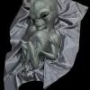 The Horror Dome "Roswell Alien Baby Crash Victim" HD Exclusive Halloween Decoration -Costume Types Shop new for 2022 roswell alien baby crash victim hd exclusive halloween decoration 30106370080816