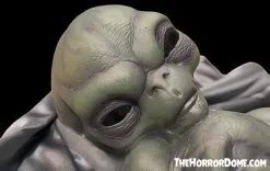 The Horror Dome "Roswell Alien Baby Crash Victim" HD Exclusive Halloween Decoration 11 The Horror Dome "Roswell Alien Baby Crash Victim" HD Exclusive Halloween Decoration -Costume Types Shop new for 2022 roswell alien baby crash victim hd exclusive halloween decoration 30106412580912