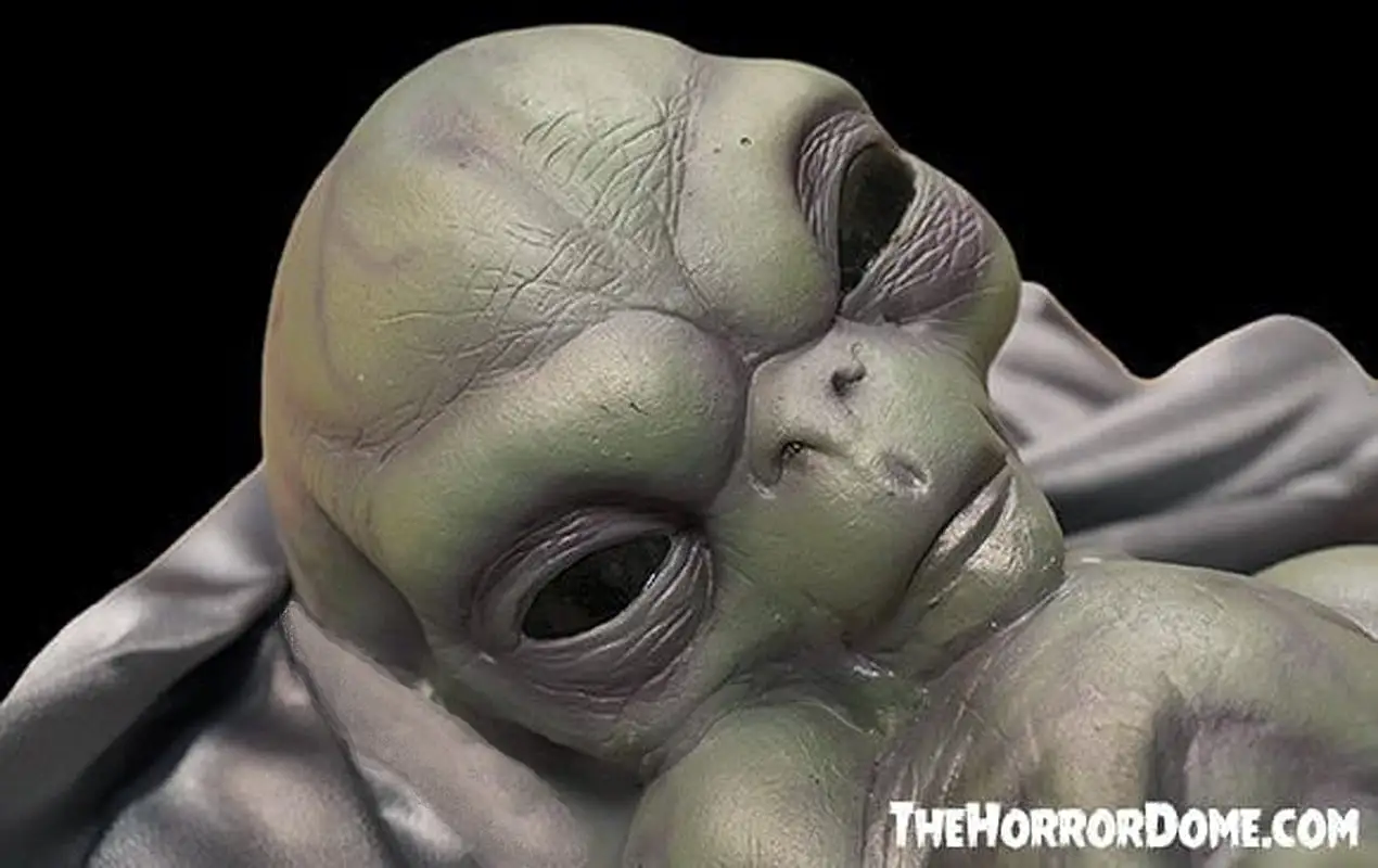 The Horror Dome "Roswell Alien Baby Crash Victim" HD Exclusive Halloween Decoration 7 The Horror Dome "Roswell Alien Baby Crash Victim" HD Exclusive Halloween Decoration - Image 5