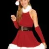 Morris "Santa's Inspiration Dress" Costume -Costume Types Shop santa s inspiration dress christmas costume 14187363401776