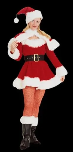 Morris "Sexy Miss Santa - Adult Small" Costume