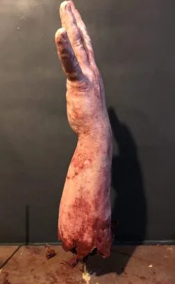 SpellBound FX And Art "Shark Bite Silicone Arm" Bloody Body Part Prop -Costume Types Shop shark bite silicone arm bloody body part prop 11943703412784