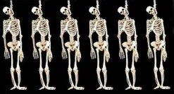 Morris Package Deals "Skeleton Halloween Props" - 6x Package Deal