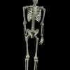 Morris "Skeleton" Hanging Halloween Prop - 60" -Costume Types Shop skeleton hanging halloween prop 60 14320996483120