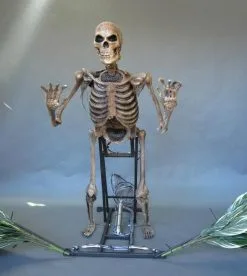 DC PROPS "The Bushwacker" Skeleton Halloween Animatronic -Costume Types Shop the bushwacker skeleton halloween animatronic 8721662785