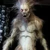 Midnight Studios "The Werewolf" Professional Halloween Prop -Costume Types Shop the werewolf professional halloween prop 21028688001