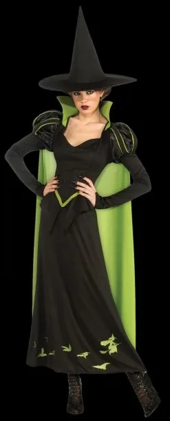 Morris "Wicked Witch Of The West" Costume (Adult)